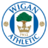 WIGAN ATHLETIC WIGAN ATHLETIC